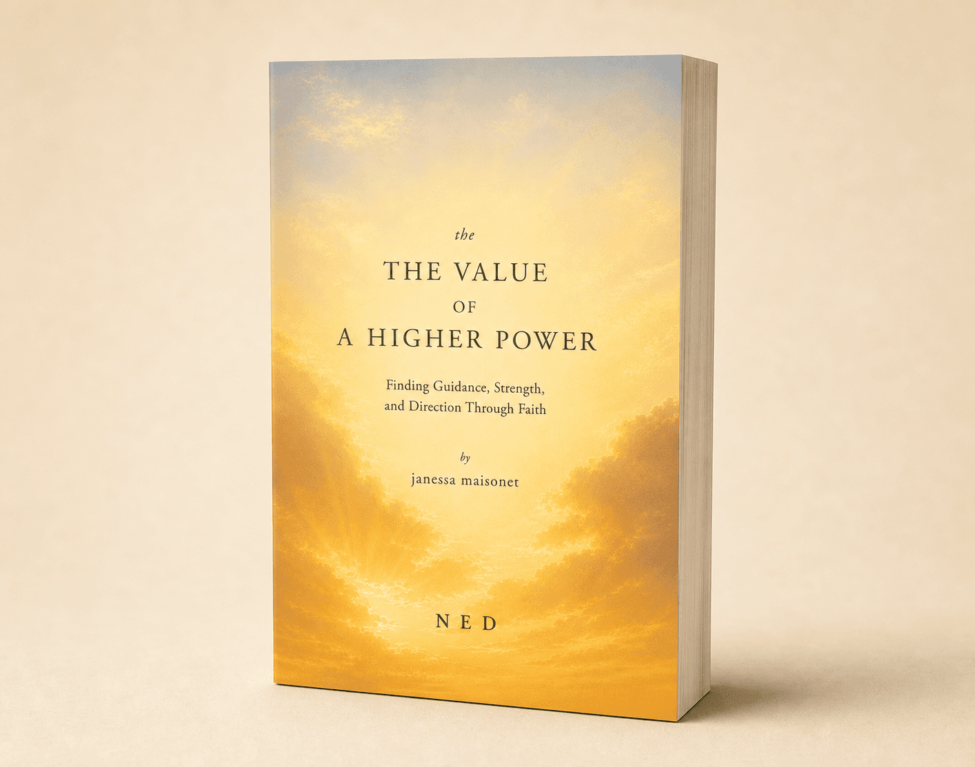 The Value of a Higher Power paperback book by Janessa Maisonet